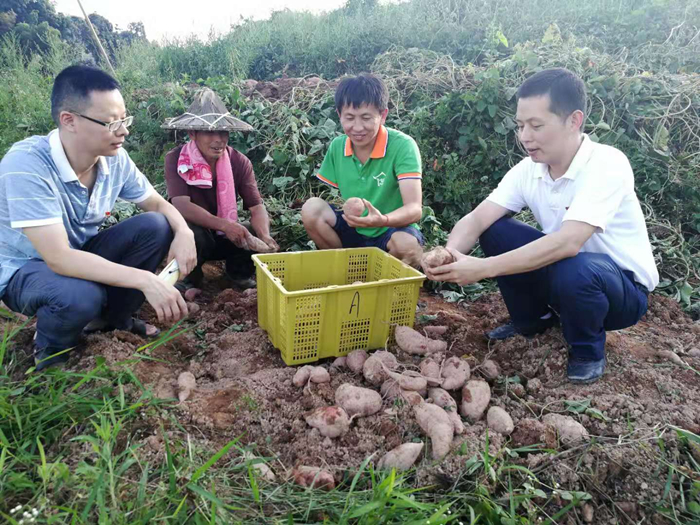 向阳乡纪委：走田间访民情 守初心践使命.jpg