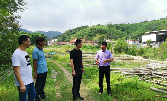 码头镇纪委监察组：专项督查农村乱占耕地建房问题.jpg